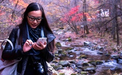 金色琴弦第二季结局